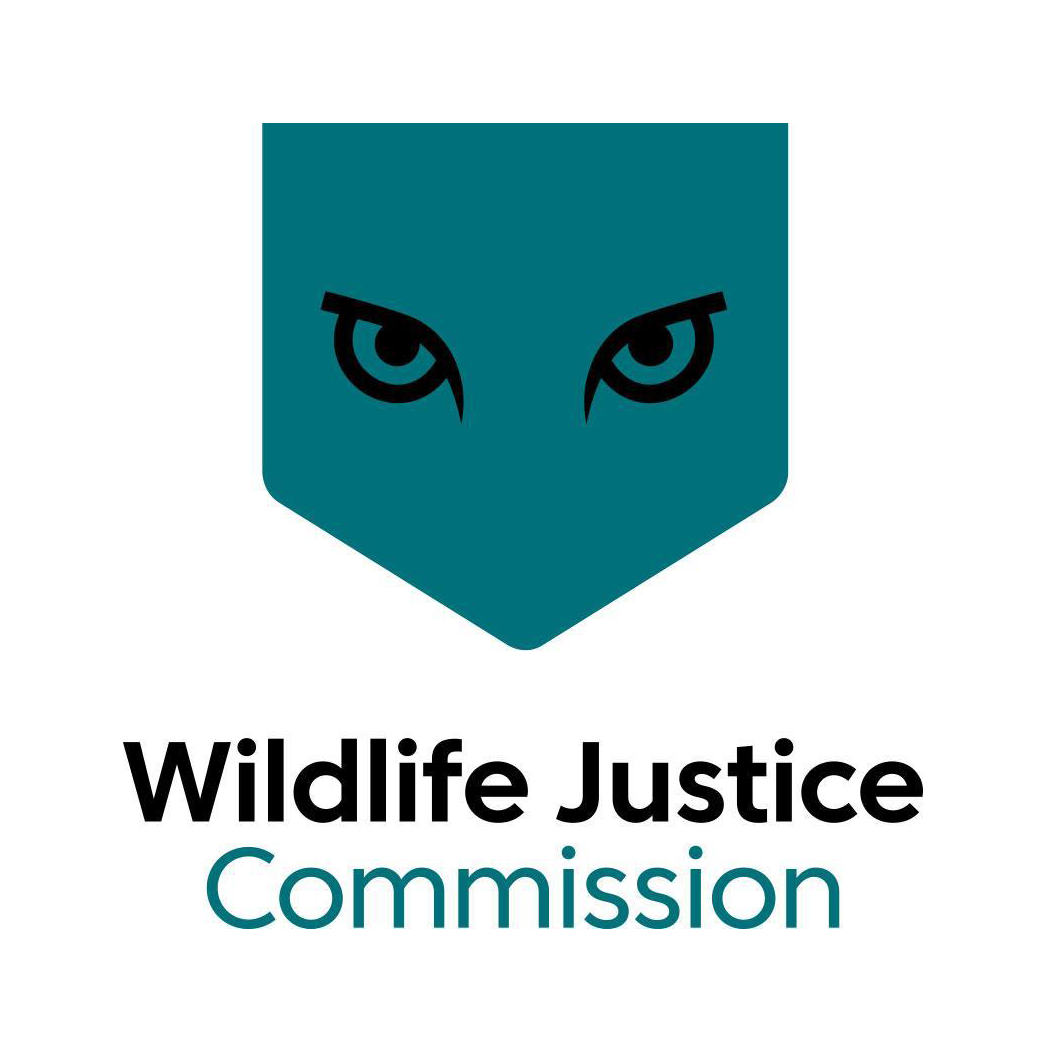 Intelligence Analyst